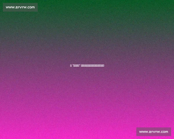 当 “比赛第一” 成为时代咒语：竞技社会的价值困局