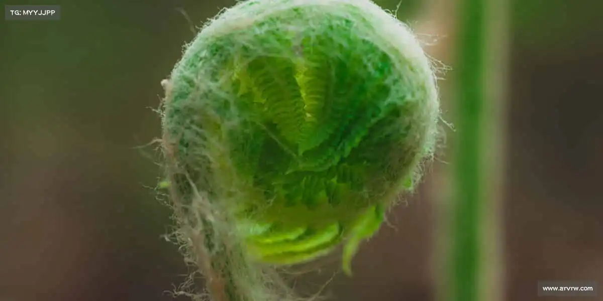 milan米兰🚴♀️风在前,无惧挑战 —— 骑行路上,风景与成长同行!